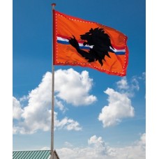 Oranje: Reuze stadionvlag Leeuw 200x300cm